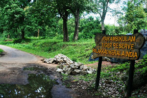 Parambikulam