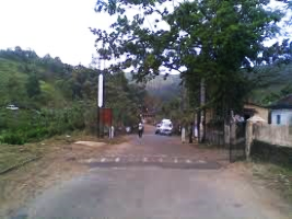 Gavi