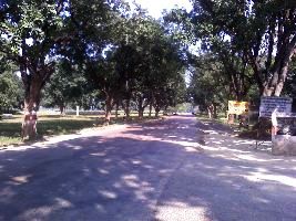 Lalganj