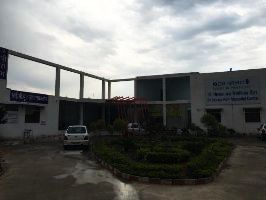 Raipur Rani