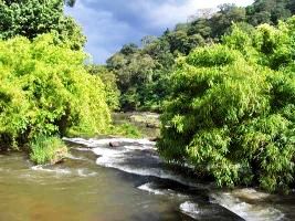 Chalakudy