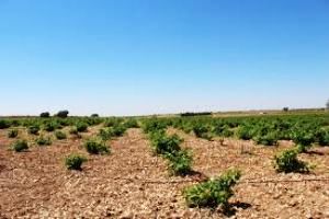 Quintanar de la Orden