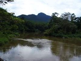 Kitulgala