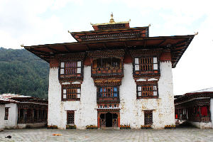 Tashi Yangtse