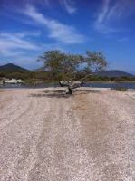 San Dionisio del Mar