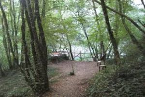 Pazin