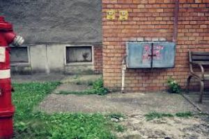 Záhony