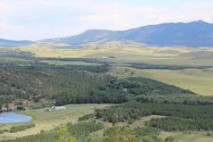 Karkarali