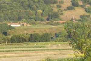 Lapugiu de Jos