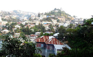 Siaha