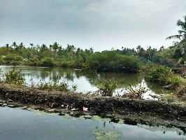 Mulavukad