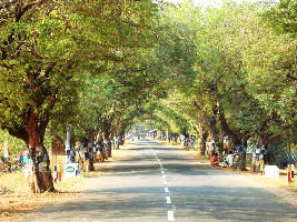 theni