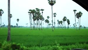 East Godavari district