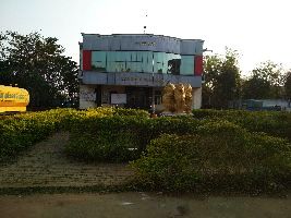 Palasa
