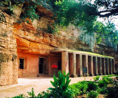 Bagh