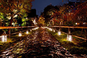 Kyoto 