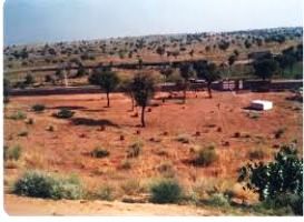 Churu