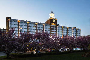 Garden City