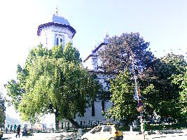 Alexandria