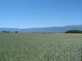 Geneva Friends Tour Package for 3 Days 2 Nights