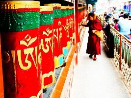 Kangra