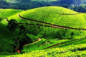 Darjeeling
