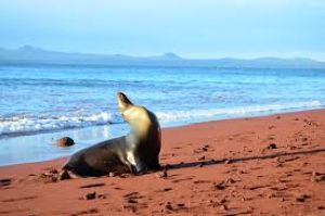 Galapagos Islands