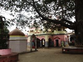 Jaleshwar  