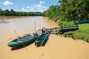 Kinabatangan