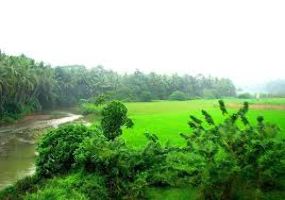 Kottakkal
