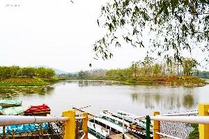 Abhayapuri