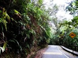 Ranau
