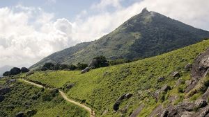 The Velliangiri Mountains 