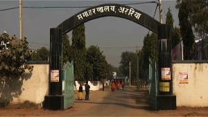 Araria