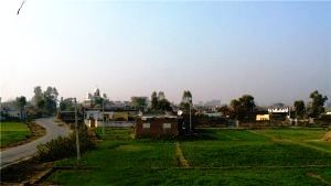 Ranbir Singh Pura