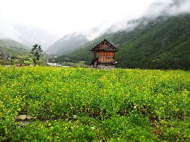 Chitkul
