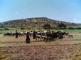 Kalyandurg