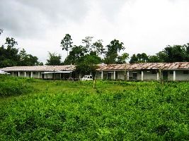 Deomali