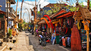 2 Days 1 Nights bali Tour Package