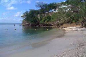 Lucea