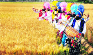 Ludhiana