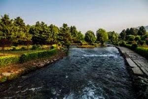 Kokernag