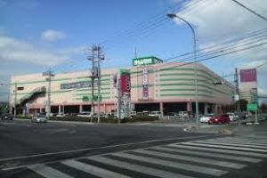Matsusaka