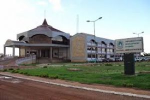 Elmina