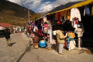 Ecstatic Chardham Tour Package for 12 Days 11 Nights from Delhi