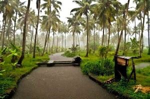 Kasaragod