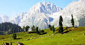 Kashmir 6Days 5 nights Group Tour package by MP tours and travel
