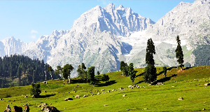 Kashmir 5 Days 4 Nights honeymoon Package by MP Tours And Travel