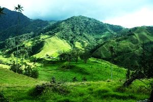 Igatpuri