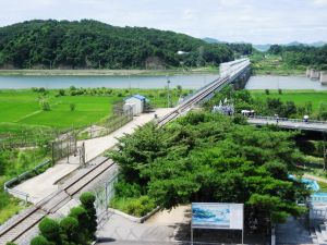 Paju si